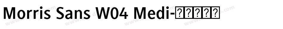 Morris Sans W04 Medi字体转换